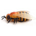 Радиоуправляемый робот Пчела Honeybee ZF-9923 ZF-9923 в Батайске